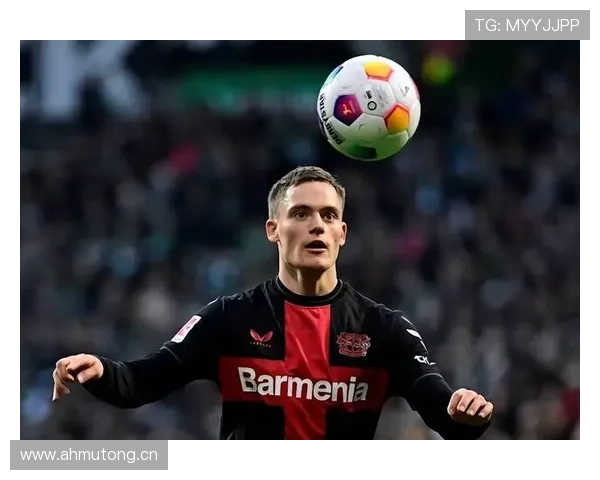 从组织核心到终结参与者：维尔茨的数据进化